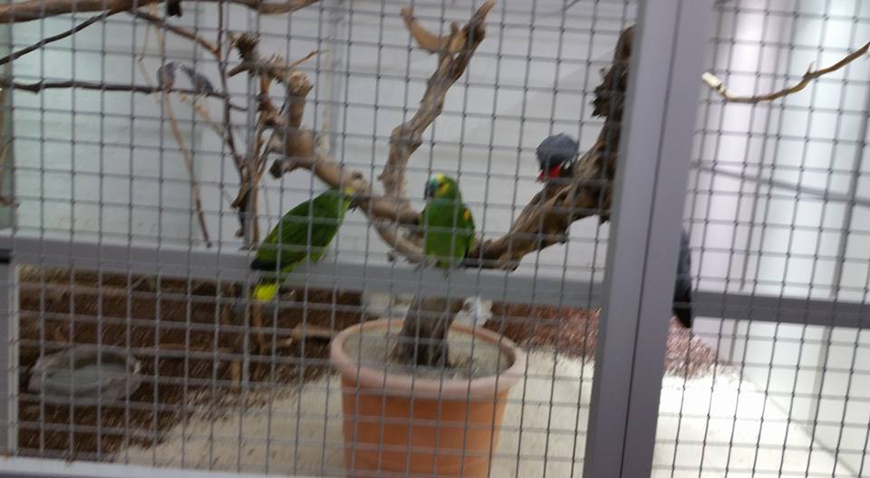 Biggest pet shop in the world